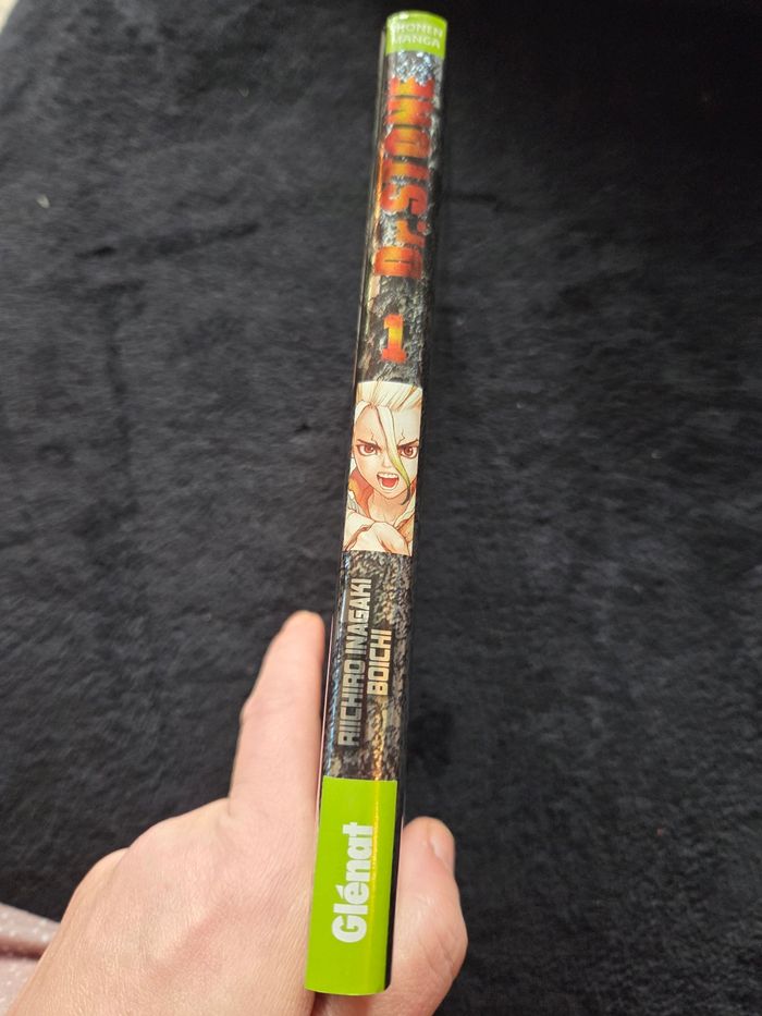 Manda Dr Stone.SF - photo numéro 3