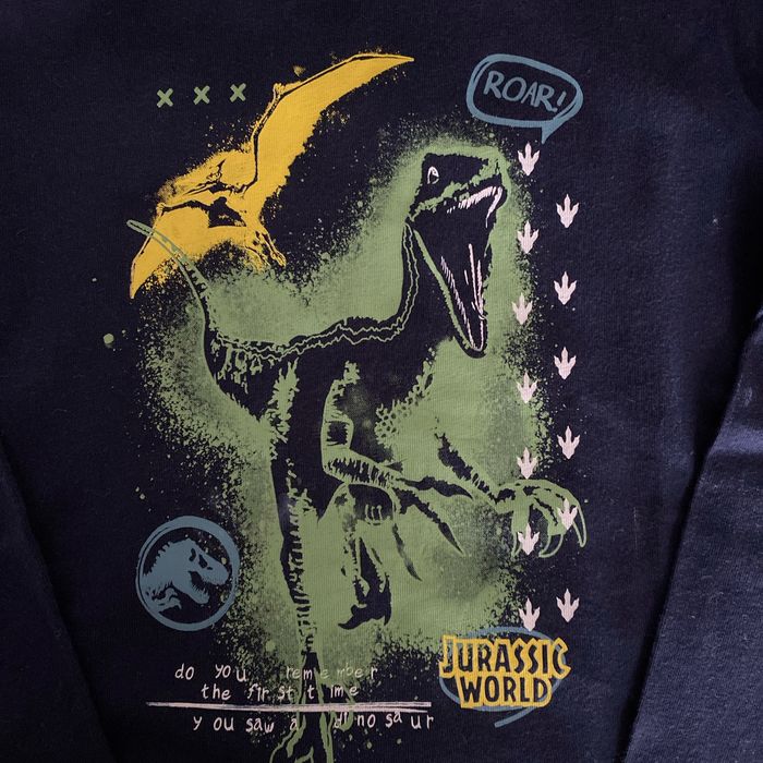Tee-shirts 5 ans jurassic world - photo numéro 2