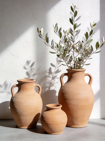 Affiche Minimaliste Vases et Olivier 30x40cm