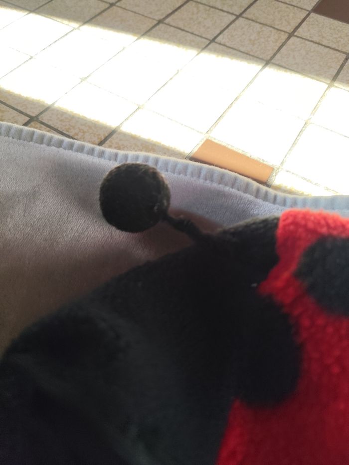 Déguisement coccinelle 12 mois - photo numéro 3