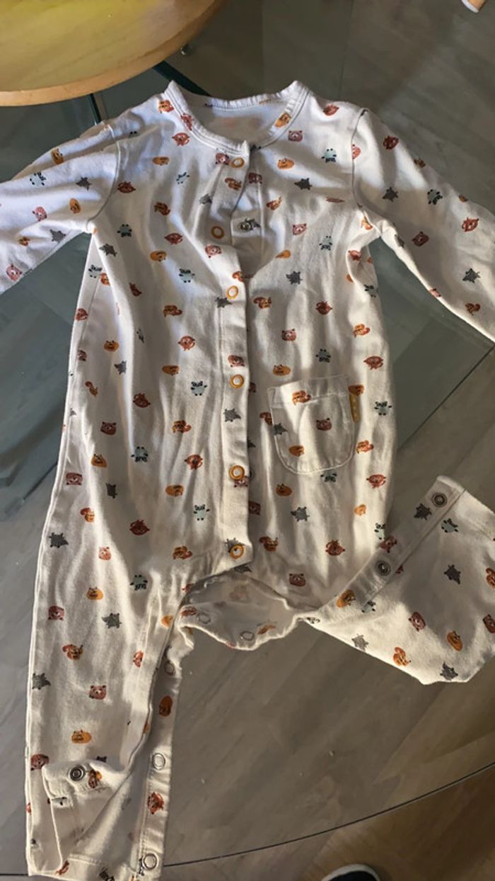 Grenouillère - photo numéro 4