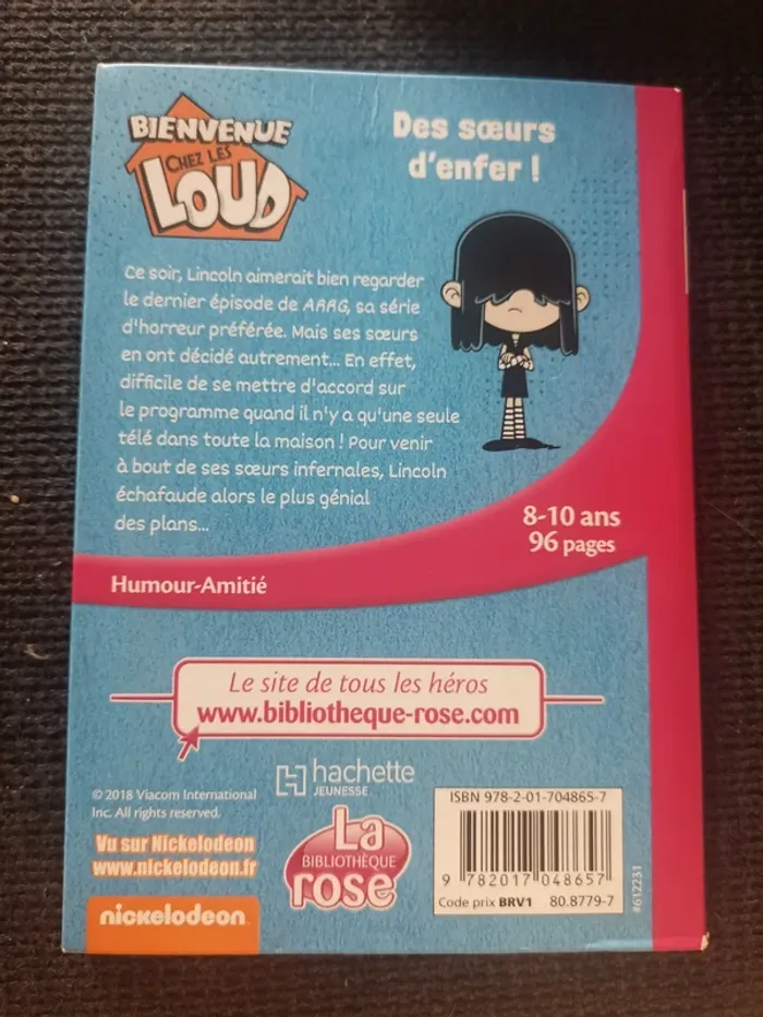 Lot 4 livres bienvenu chez les loud bibliothèque rose - photo numéro 4