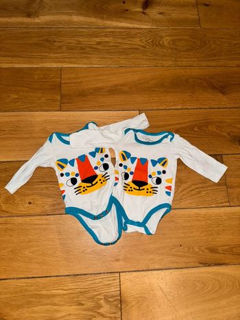 Lot 2 body