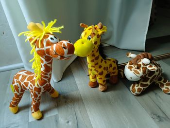 Lot girafes
