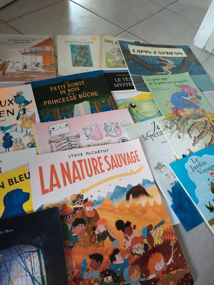 Lot 16 livres histoires albums jeunesse - photo numéro 3