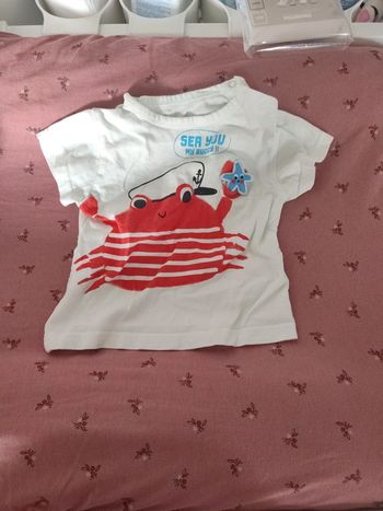 Lot de 3 t shirt manches courtes z / grain de blé 6 mois
