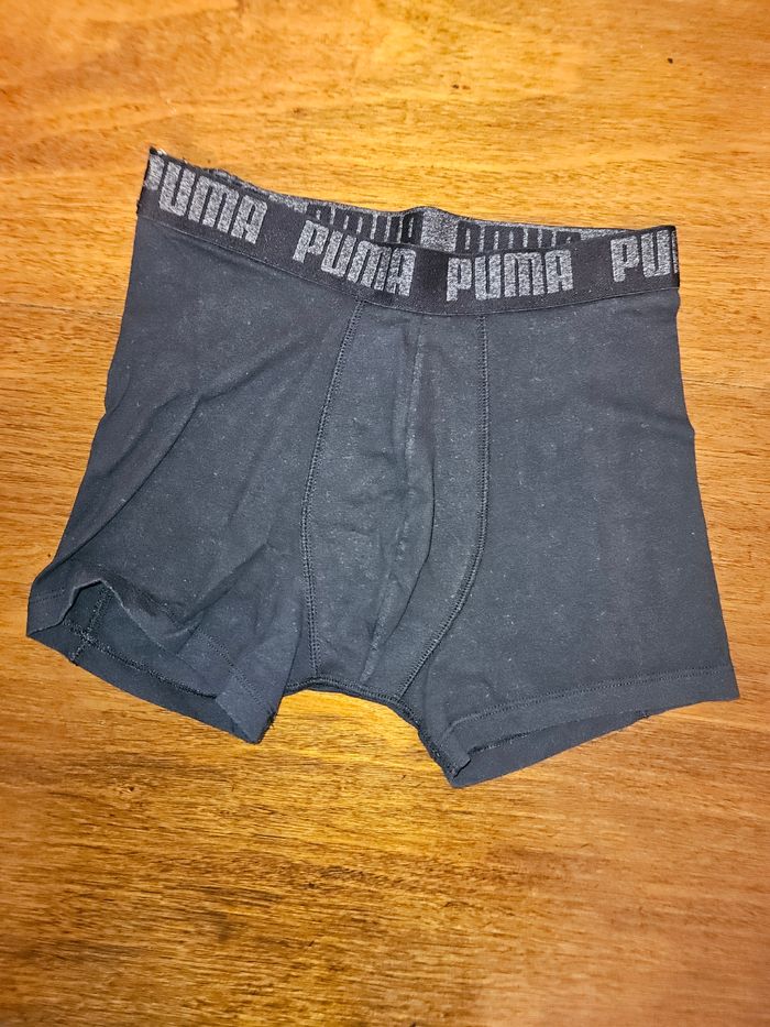 4 Boxer puma - photo numéro 7