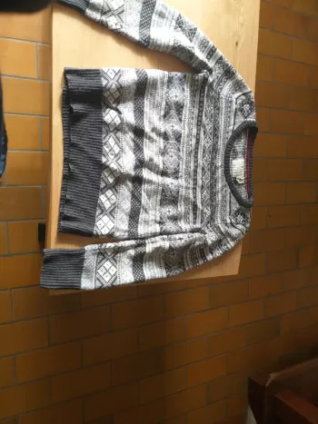 Pull manche longues