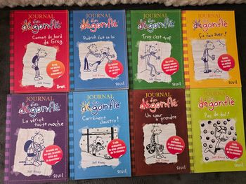 Lots de livres journal dun degonfle