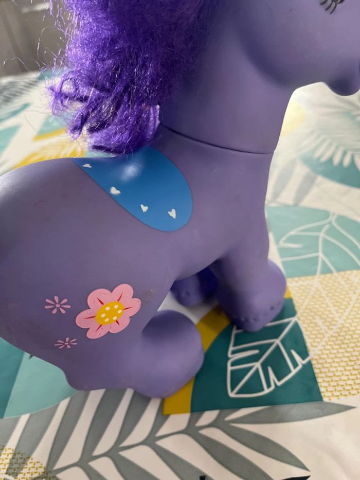 Grand poney - photo numéro 3