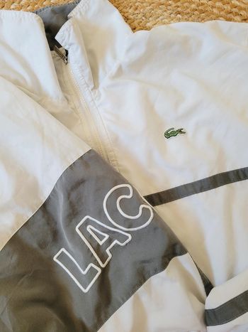 Veste lacoste
