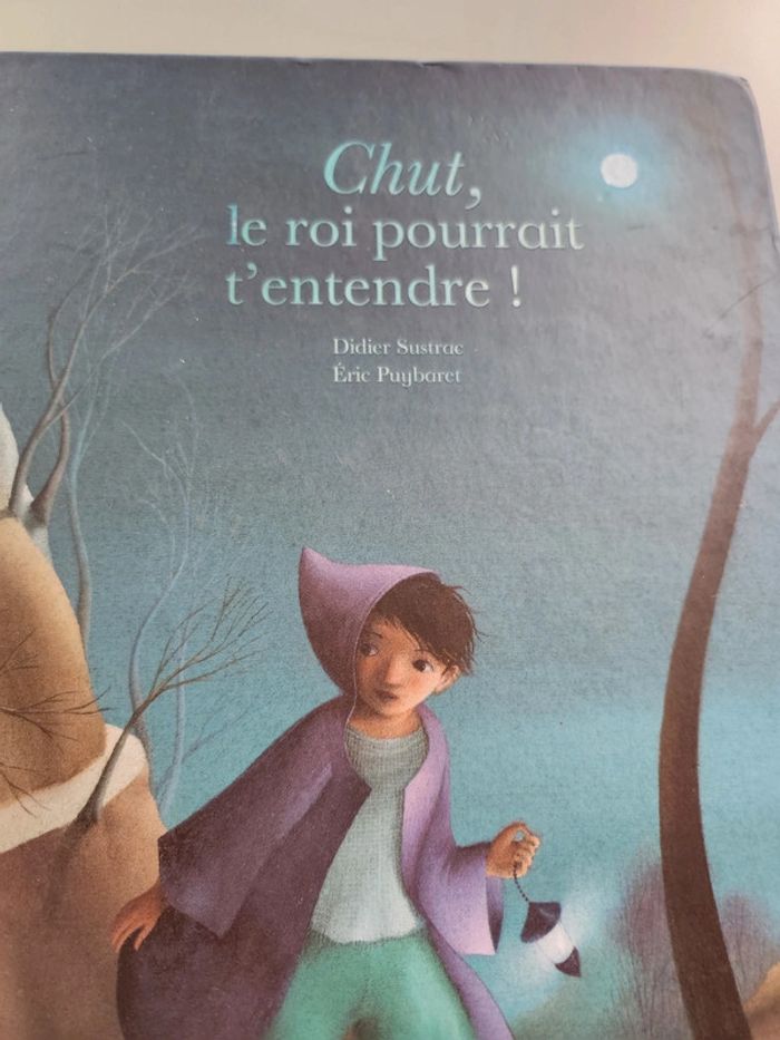 Livre jeunesse Chut, le roi pourrait t'entendre ! - photo numéro 2