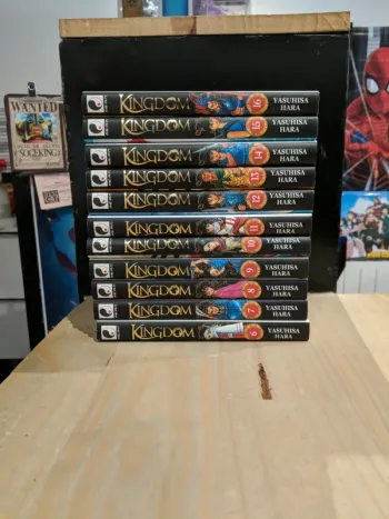 Lot Kingdom – Tomes 6 à 16 (11 tomes)