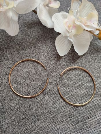 Boucle d'oreille fantaisies