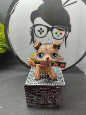 Lps1167 My Littlest Petshop Pet Shop Authentic Authentique Dog Collie Colley 893