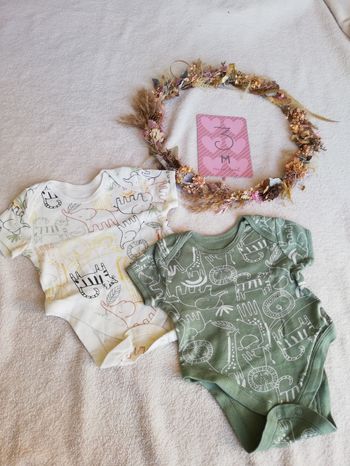 Lot de 2 bodies MC primark 3 mois 🐯