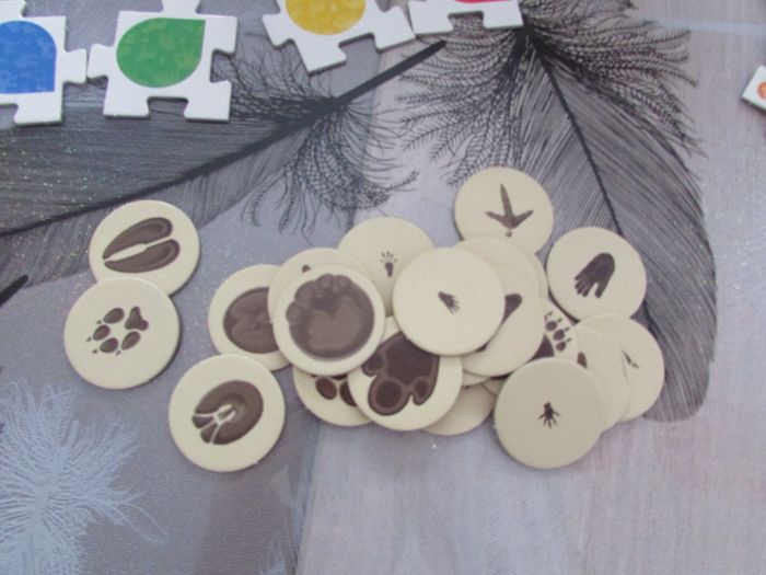 Jeu Tiptoi Sur la trace des animaux Ravensburger - photo numéro 4