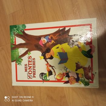 Livre  alors conte de fees