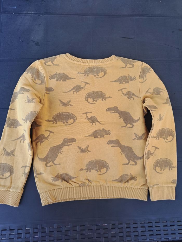 Sweat molletonné "Dinosaures" - photo numéro 4