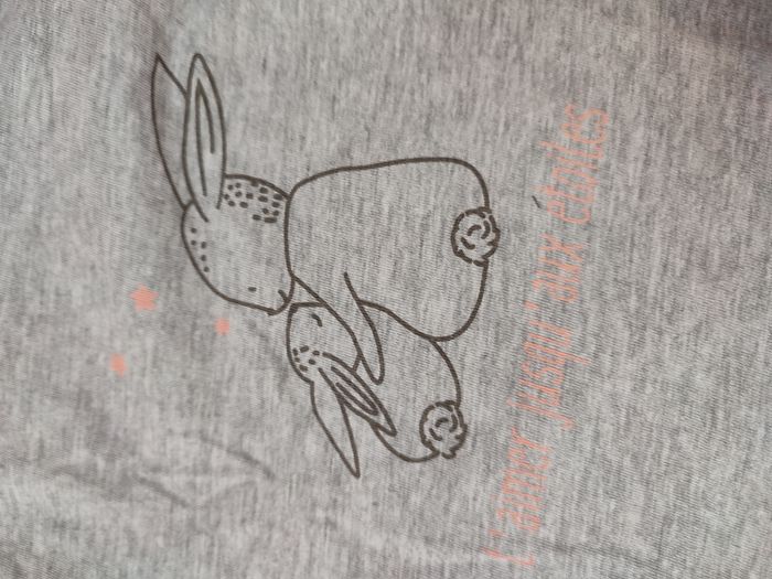 Lot de 3 tee-shirts manches longues - 24 mois - Très bon état - Lupilu/Mots d'enfants - photo numéro 7