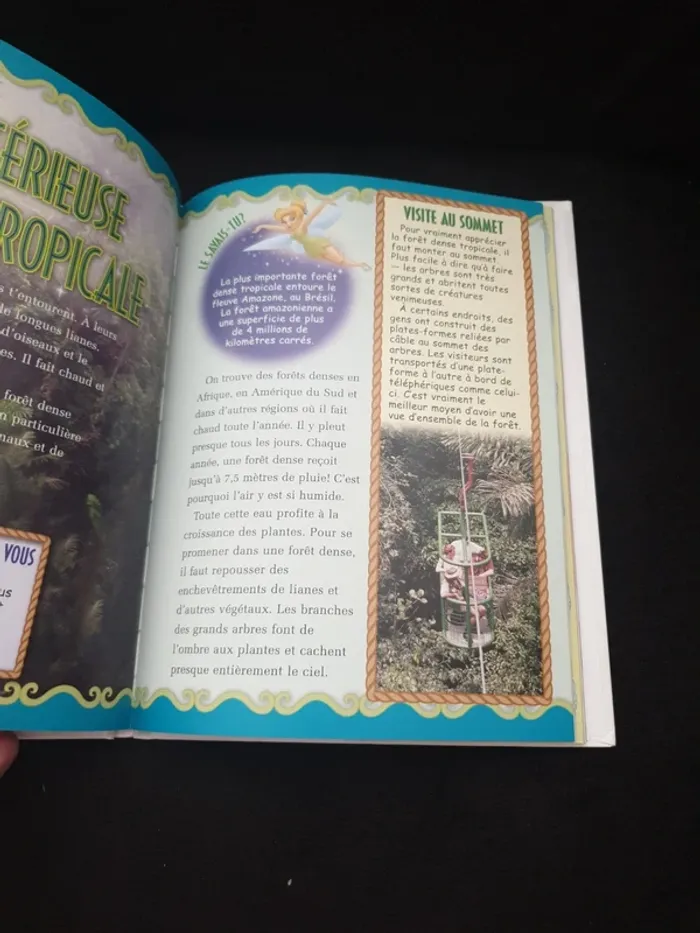 Livre "Mon album 2006 Disney" - photo numéro 5