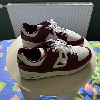 Chaussure Bordeaux Blanc