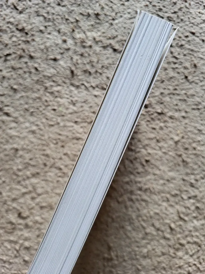 Livre "Amours solitaires" de Morgane Ortin - Roman épistolaire moderne - photo numéro 3