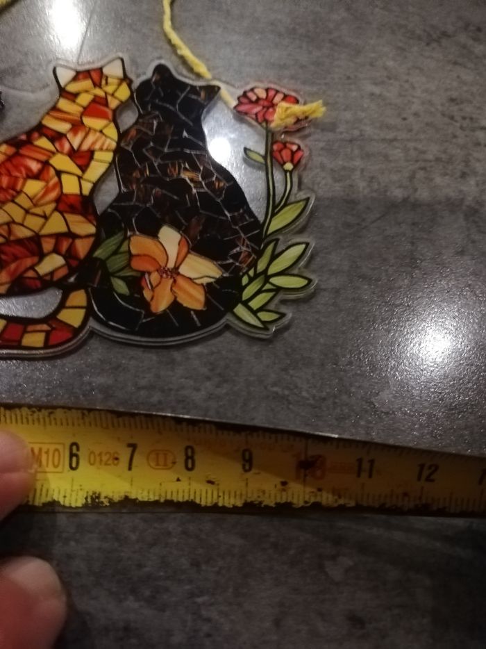 Attrape soleil chat - photo numéro 2