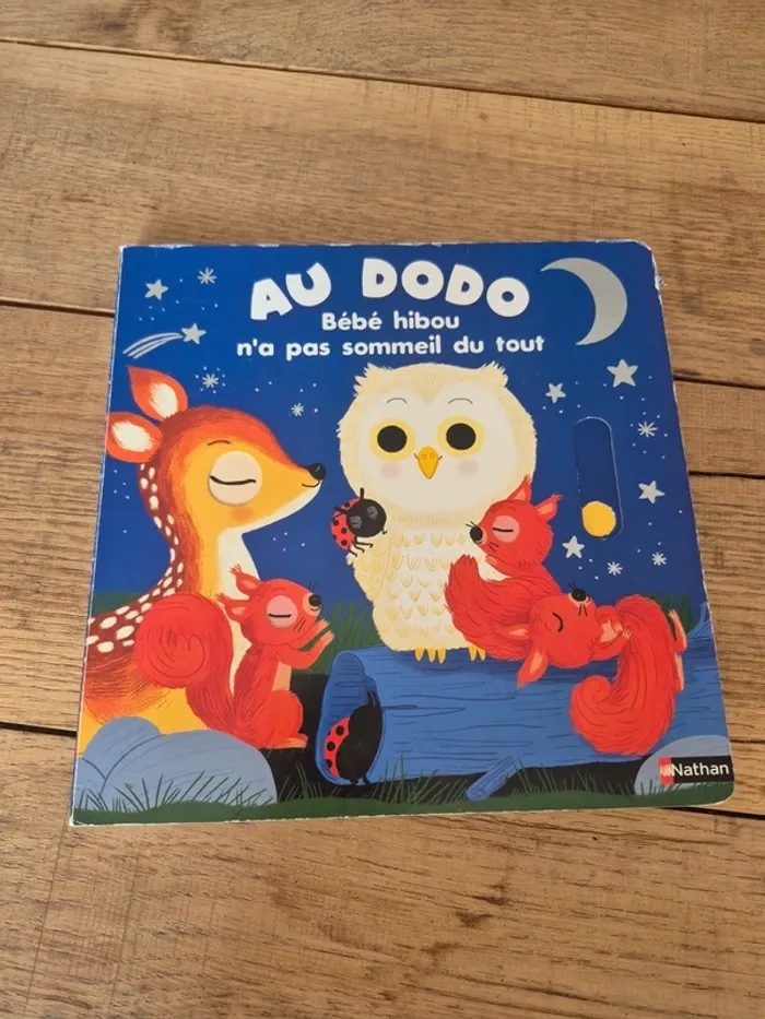 Livre “Au dodo bébé hibou n’a pas sommeil du tout”  Nathan