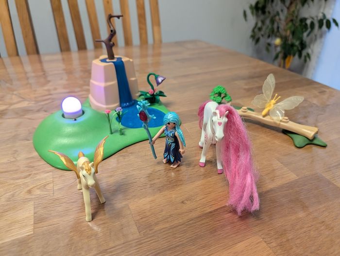 Ensemble féerique Playmobil - photo numéro 4