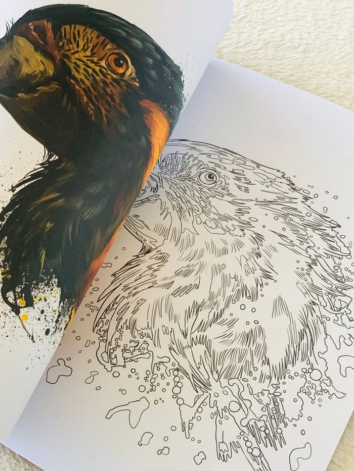 Cahier de coloriage de animaux Craft Universe - photo numéro 4