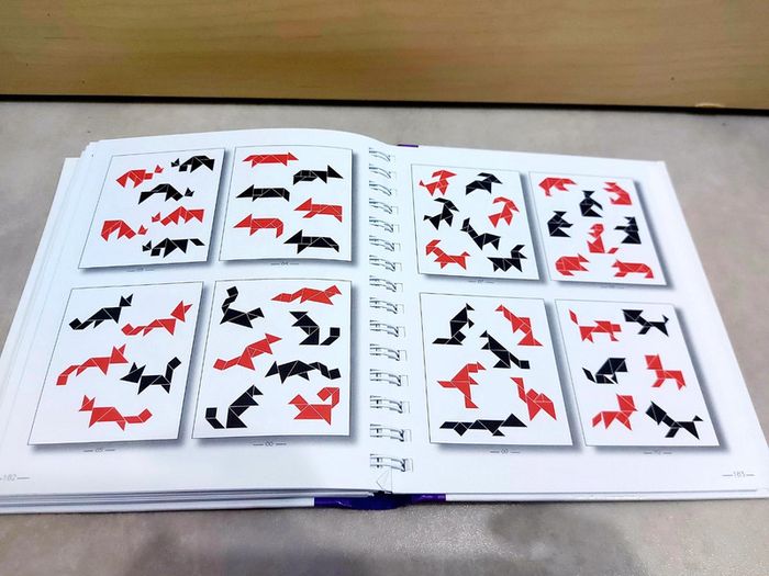 📚 Livre jeux : tangram plus de 1000 modèles ! + tangram - photo numéro 4