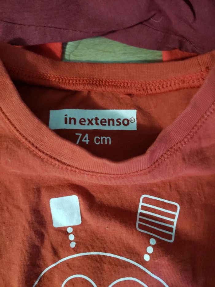 Lot 5 T-shirts manches longues 74 cm 9 12 mois  In Extenso - photo numéro 5