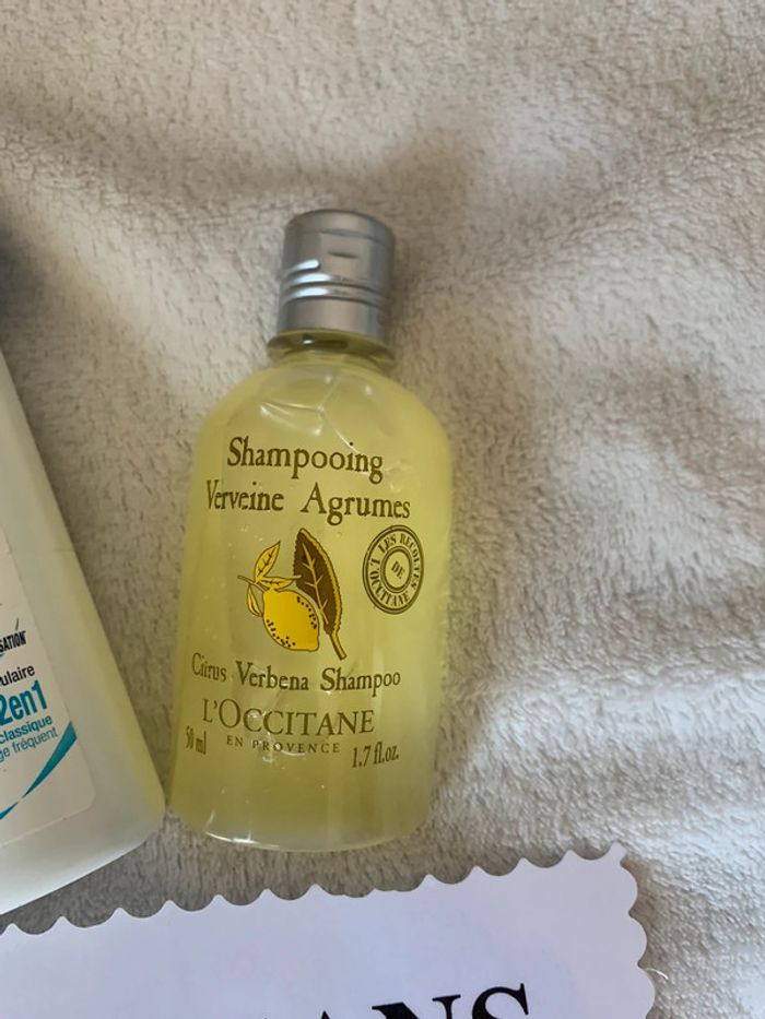 Shampooing - photo numéro 3
