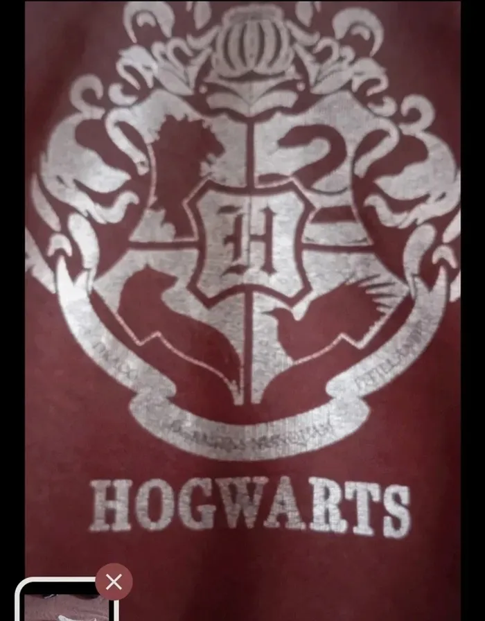 Très joli pull Harry Potter marron 12 ans en très bon état - photo numéro 2