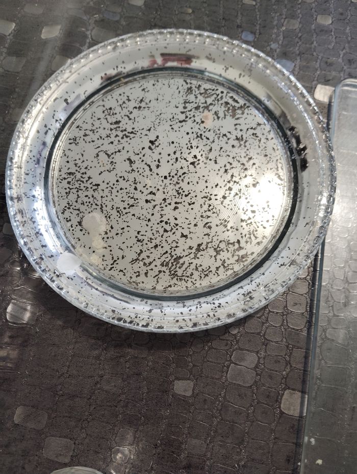 Photophores - photo numéro 2