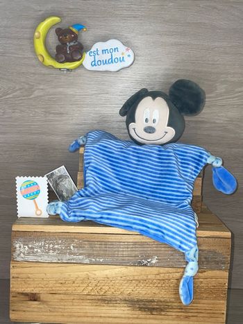 DY443 doudou Mickey disney