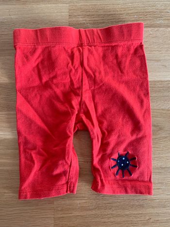 Short Orchestra 12 mois - 74 cm