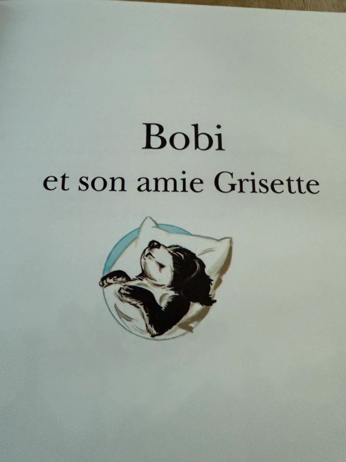 Reliure bleue livre Les amis de Caroline album Hachette Pierre Probst recueil - photo numéro 5