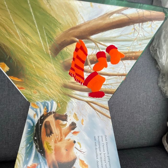La surprise du Hérisson - photo numéro 4