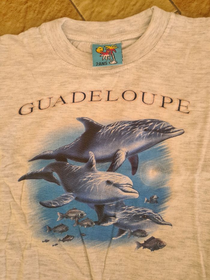 Lot 2 t-shirts / Taille 2 ans - photo numéro 2