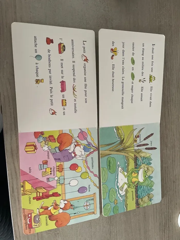 2 livres cartons datant de 1991 - photo numéro 3