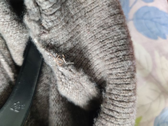 Pull marron 10 ans - photo numéro 4