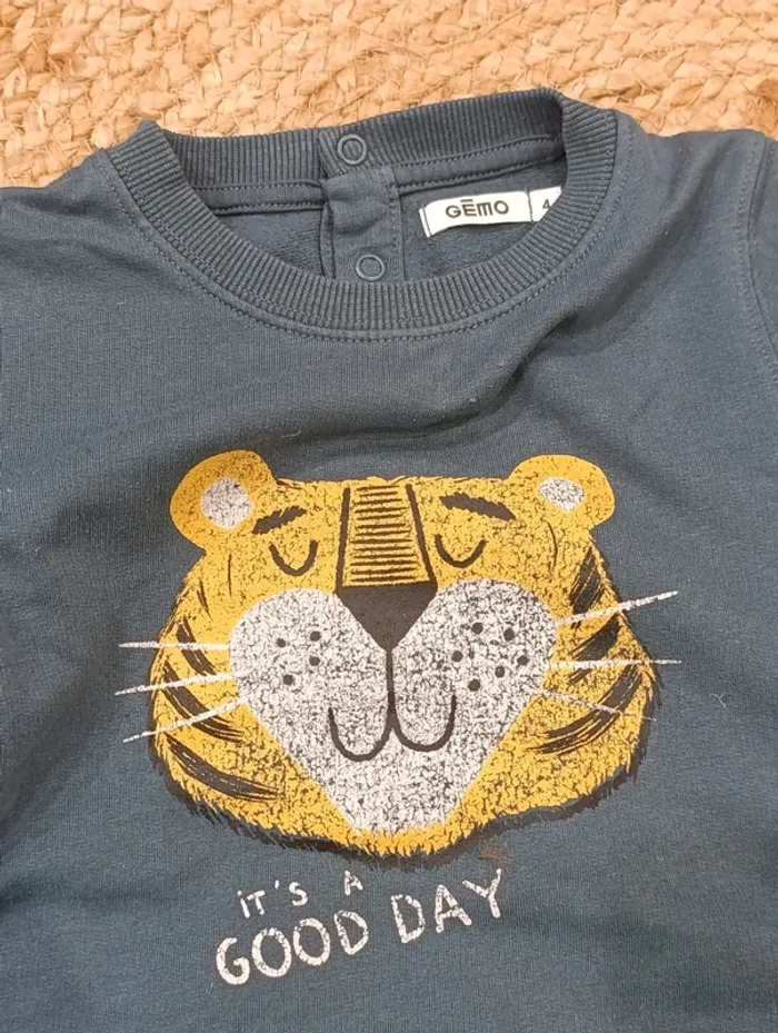 Pull sweat tigre - photo numéro 3