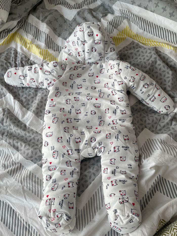 Combi pilote - photo numéro 2