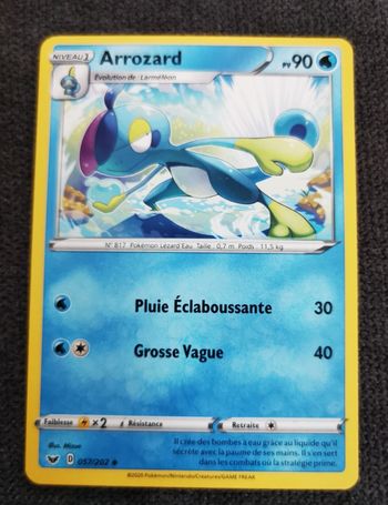 cartes pokemon