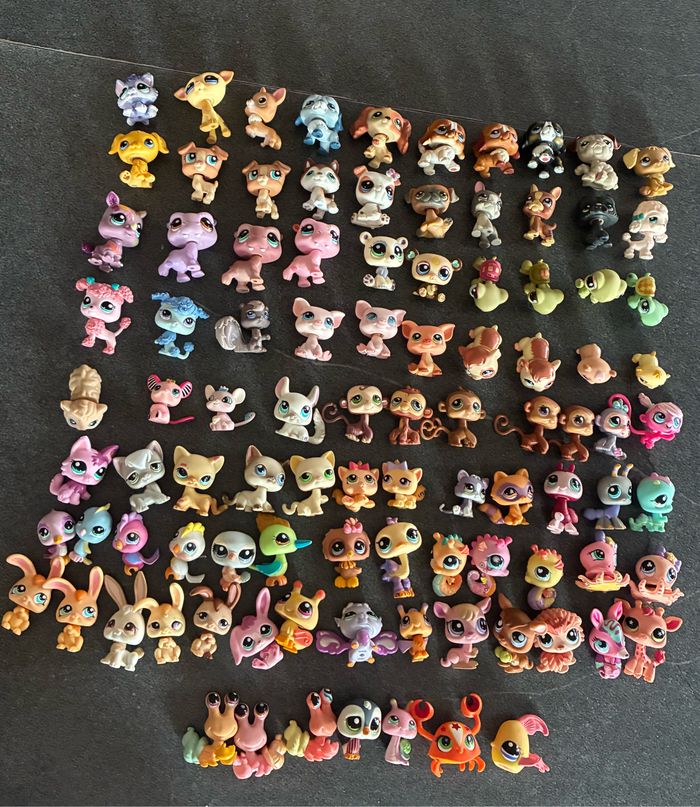 Lot petshop