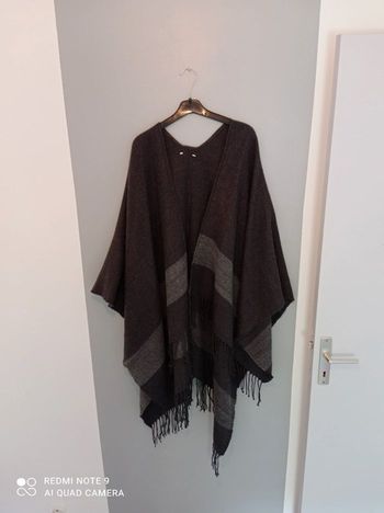 Poncho Bizzbee