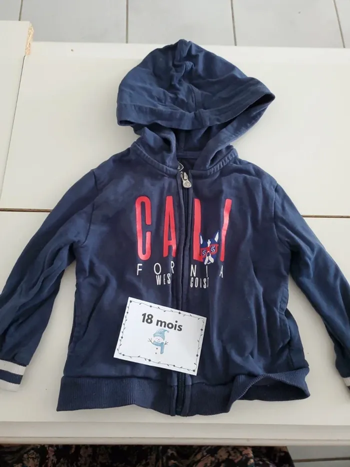 Veste capuche