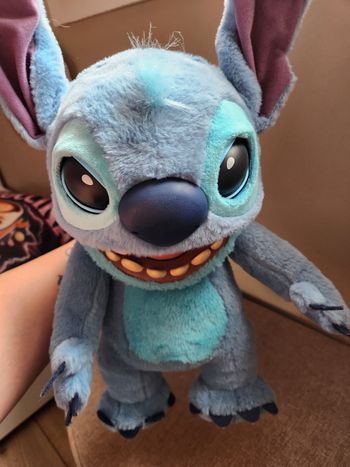 Stich interactif